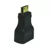 Adaptateur Mini HDMI vers HDMI femelle