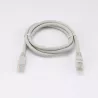 Câble RJ45 Male/Male droit CAT6 U/UTP - Longueur 1M - Gris - en sachet
