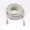 Câble RJ45 Male/Male droit CAT6A F/UTP - Longueur 10M - Gris - en sachet