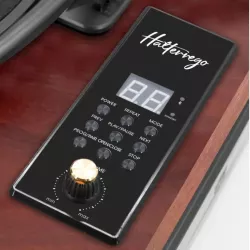 Platine vinyle Halterrego ALL-in-one avec 2 HP intégrés / couvercle, RMS 2* 8W, 3 vitesses, lecteur CD, BT IN, Radio FM, Aux…