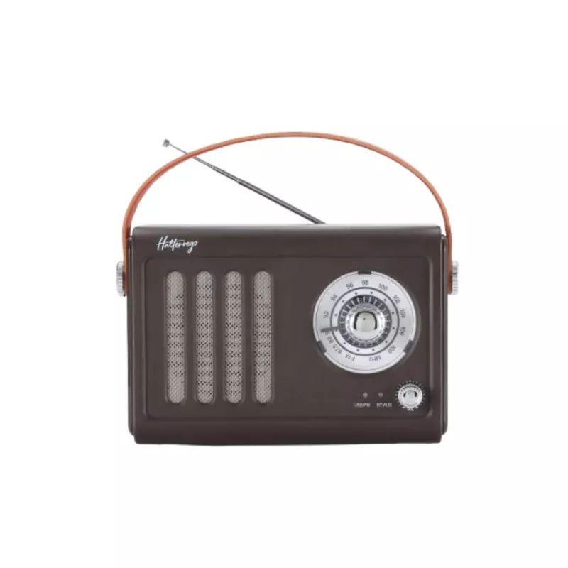 Enceinte/Radio rétro HALTERREGO style vintage, RMS 5W, Bluetooth, Radio FM, lecteur USB, Aux IN, Batterie rechargeable, marron