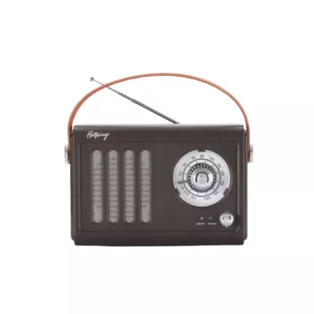 Enceinte/Radio rétro HALTERREGO style vintage, RMS 5W, Bluetooth, Radio FM, lecteur USB, Aux IN, Batterie rechargeable, marron