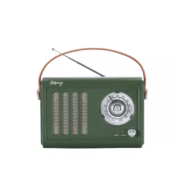 Enceinte/Radio rétro HALTERREGO style vintage, RMS 5W, Bluetooth, Radio FM, lecteur USB, Aux IN, Batterie rechargeable, vert