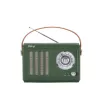 Enceinte/Radio rétro HALTERREGO style vintage, RMS 5W, Bluetooth, Radio FM, lecteur USB, Aux IN, Batterie rechargeable, vert