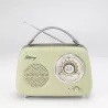 Enceinte/Radio HALTERREGO rétro 2, 5W RMS, Bluetooth, Radio FM, lecteur USB, Aux IN, batterie rechargeable, vert olive