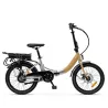 Vélo électrique Lancia BRIO Moteur Bafang 36V/250W/45Nm , Batt 36V 7.8Ah, Dérailleur SIMPLE. 25Km/h Pneu 20 23kg