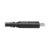 Eaton Tripp Lite - Câble USBC (M/M) - USB 3.1, Gen 2 (10 Gbps), 5A, compatible Thunderbolt 3, 50,8 cm