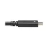 Eaton Tripp Lite - Câble USBC (M/M) - USB 3.1, Gen 2 (10 Gbps), 5A, compatible Thunderbolt 3, 50,8 cm