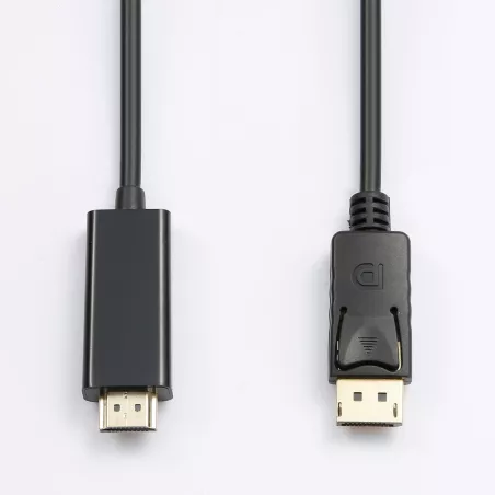 Câble HDMI Male / DisplayPort avec système de verrouillage - 2M
