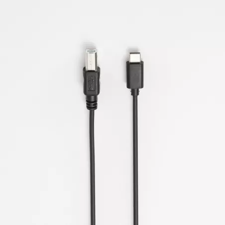 Câble USB-C 2.0/USB B - noir - 2m