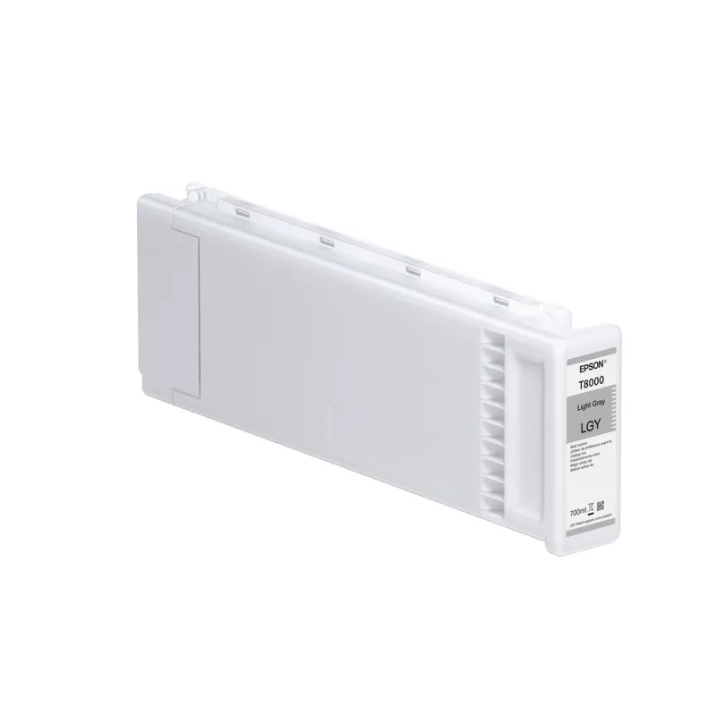EPSON Gris clair
