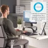 FELLOWES SUPPORT MONITEUR PLUS SMART SUITES