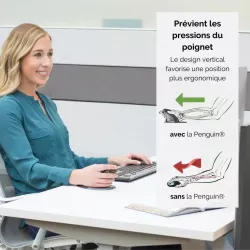 FELLOWES SOURIS VERTICALE AMBIDEXTRE PENGUIN SANS FIL - LARGE