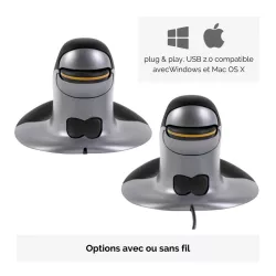 FELLOWES SOURIS VERTICALE AMBIDEXTRE PENGUIN SANS FIL - LARGE