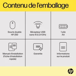 HP 250 Souris sans fil noire - Dual ambidextre, 1600 PPP, 2,4 Ghz, 3 boutons, autonomie jusqu'à 12 mois