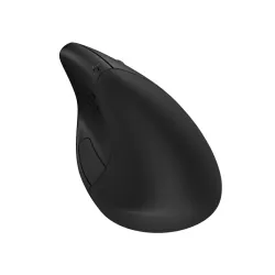 HP-C HP 925 Noire - Souris sans fil verticale ergonomique, Connexion sans fil 2,4 GHz Bluetooth® 5.3, Batterie rechargeable