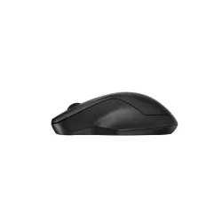 HP-C HP 255 Souris sans fil Noire - Dual mode (2,4 GHz, Bluetooth) - 1600 dpi, 1x pile AA, Design ambidextre - STB
