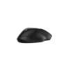 HP-C HP 255 Souris sans fil Noire - Dual mode (2,4 GHz, Bluetooth) - 1600 dpi, 1x pile AA, Design ambidextre - STB
