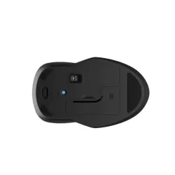 HP-C HP 255 Souris sans fil Noire - Dual mode (2,4 GHz, Bluetooth) - 1600 dpi, 1x pile AA, Design ambidextre - STB