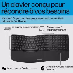 HP-C HP 685 Comfort Noir - Clavier sans fil Dual Mode (2,4 GHz, Bluetooth), Design complet et Ergonomic - 2 piles x AA - STB