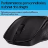 HP-C HP 685 Comfort Noir - Souris sans fil Dual mode (2,4 GHz, Bluetooth), 4000 dpi, 1x pile AA - STB