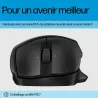 HP-C HP 685 Comfort Noir - Souris sans fil Dual mode (2,4 GHz, Bluetooth), 4000 dpi, 1x pile AA - STB