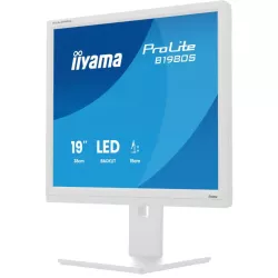 Ecran IIYAMA 19'' LED Blanc dalle TN 3ms 5:4 1280x1024 250cd/m² HDMI Displayport haut parleurs 15cm pied régl en haut Pivot…