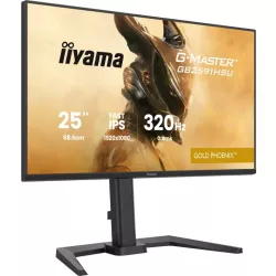 Ecran IIYAMA 24.5'' G-Master Gold Phoenix Noir Fast IPS 1920x1080 16:9 0.4ms 350cd/m² 320Hz 1000:1 2xHDMI DP 4xUSB HPs G-SYNC…