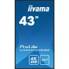 IIYAMA LFD 43 dalle IPS 4K UHD 3840x2160 16:9 24/7 VGA 3xHDMI USB HPs 500cd/m² 8ms VESA 200x200 Paysage/portrait, Media Player…