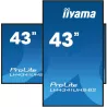 IIYAMA LFD 43 dalle IPS 4K UHD 3840x2160 16:9 24/7 VGA 3xHDMI USB HPs 500cd/m² 8ms VESA 200x200 Paysage/portrait, Media Player…