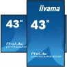 IIYAMA LFD 43 dalle VA 24/7 4K 3840x2160 16:9 3xHDMI 2xUSB 2.0 HPs 2x10W Paysage/port 6.5ms 500cd/m² MediaPlayer VESA 400x300…