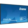 IIYAMA LFD 50 dalle VA 4K UHD 3840x2160 24/7 1xVGA 3xHDMI HPs 500cd/m² 1xUSB 9.5ms VESA 400x400 Paysage Portrait Media Player