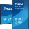 IIYAMA LFD 64,5" dalle IPS 24/7 4K UHD 3840x2160 3xHDMI 2xHP10W 1xDP 2xUSB 2.0 500cd/m² Paysage/port 8ms MediaPlayer VESA…