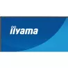 Ecran IIYAMA 24'' Noir dalle IPS Ultra mince 16:9 1920x1080 1ms 120Hz 350cd/m² 1500:1 Haut-parleurs DisplayPort HDMI Réduction…