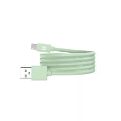 Câble IZZY USB / USB-C 1m - 60W - vert