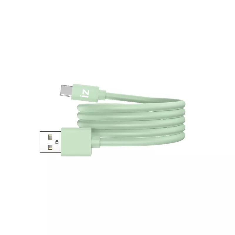 Câble IZZY USB / USB-C 1m - 60W - vert