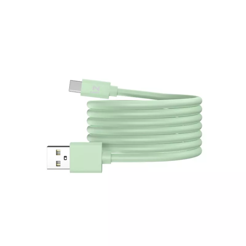 Câble IZZY USB / USB-C 2m - 60W - vert