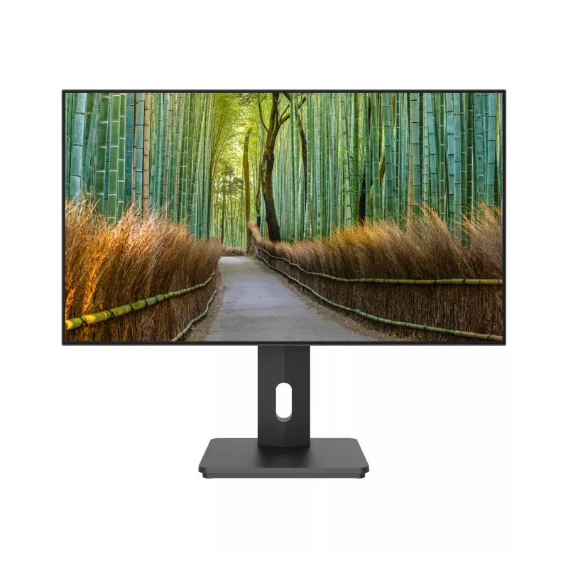 JAPANNEXT JN27IPS4FLWQHDRHSP Ecran LED 27 WQHD(2560x1440) à 60Hz IPS(ADS) 400 cd/m² 1000:1 HDR 2560x1440 8ms HDMI DisplayPort"