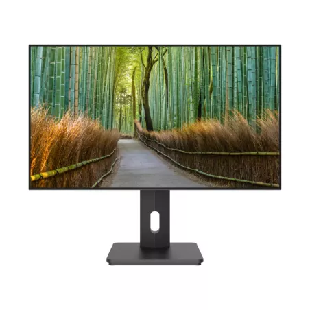 JAPANNEXT JN27IPS4FLWQHDRHSP Ecran LED 27 WQHD(2560x1440) à 60Hz IPS(ADS) 400 cd/m² 1000:1 HDR 2560x1440 8ms HDMI DisplayPort"