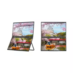 JAPANNEXT JNDMDIPS156F Ecran LED 15,6 FHD (1920x1080) à 60Hz IPS 250 cd/m² 1000:1 1920x1080 20ms HDMI USBC"