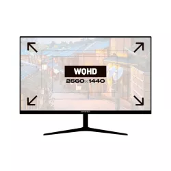 JAPANNEXT JNIPS27WQHDRC65W Ecran LED 27" WQHD (2560x1440) à 75Hz IPS 350 cd/m² 1000:1 HDR10 2560x1440 5 HDMI DisplayPort USBC