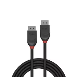 Câble DisplayPort 1.2, Black Line, 2m