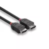 Câble DisplayPort 1.2, Black Line, 2m