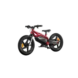 Mini moto elec DUCATI enfant / moteur 250W Pneu 16'' / 16kmh max 15.5kg Batt 21.6V/5.2Ah 112W Ecran Clignotant Charge max 45kg…