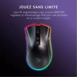 Souris Gaming Sans-fil 2.4Ghz