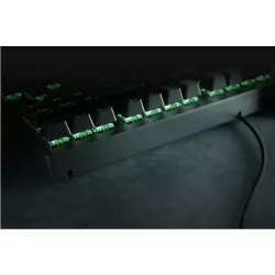 RAZER BlackWidow V3 Tenkeyless (Green Switch) - Clavier Gamer Mécanique Compact, Switches Mécaniques Clicky, Touches…