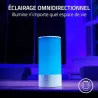 RAZER Aether Smart Lamp - Lampe de bureau omnidirectionnelle 16.8M de couleurs, multiples effets Razer Chroma RGB. Compatible AV