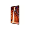 ECRAN SAMSUNG 55'' LFD 16:9 24h/7j Full HD 1920x1080 4000cd/m² DVI D-Sub 2xHDMI USB DisplPort RJ45 Vitrine OM55N-S /…