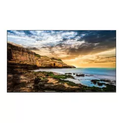 ECRAN SAMSUNG 55'' LFD 4K 16h/7j QE55T 3840x2160 350cd/m² 2xHDMI 2.0 1xUSB 2.0 Player MagicINFO intégré LH55QETELGCXEN