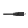 Tripp Lite by Eaton - Adaptateur DisplayPort vers DVI-I (M/F), 15,24 cm .